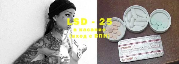 эйфоретик Аркадак