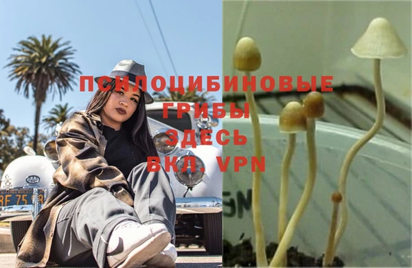 метамфетамин Арсеньев