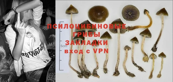 эйфоретик Аркадак